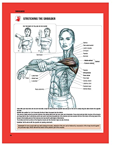 Strength Training Anatomy, 3Rd Edition-used