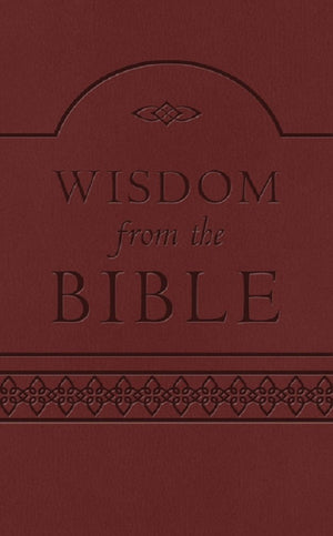Wisdom From The Bible: 365 Daily Devotions From The Proverbs