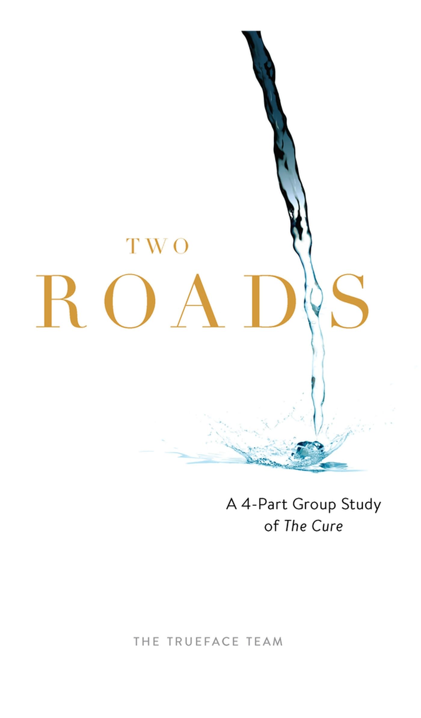 Two Roads: The Cure Group Study: A 4Part Study of The Cure,Used