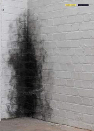 Anish Kapoor: Dirty Corner,Used