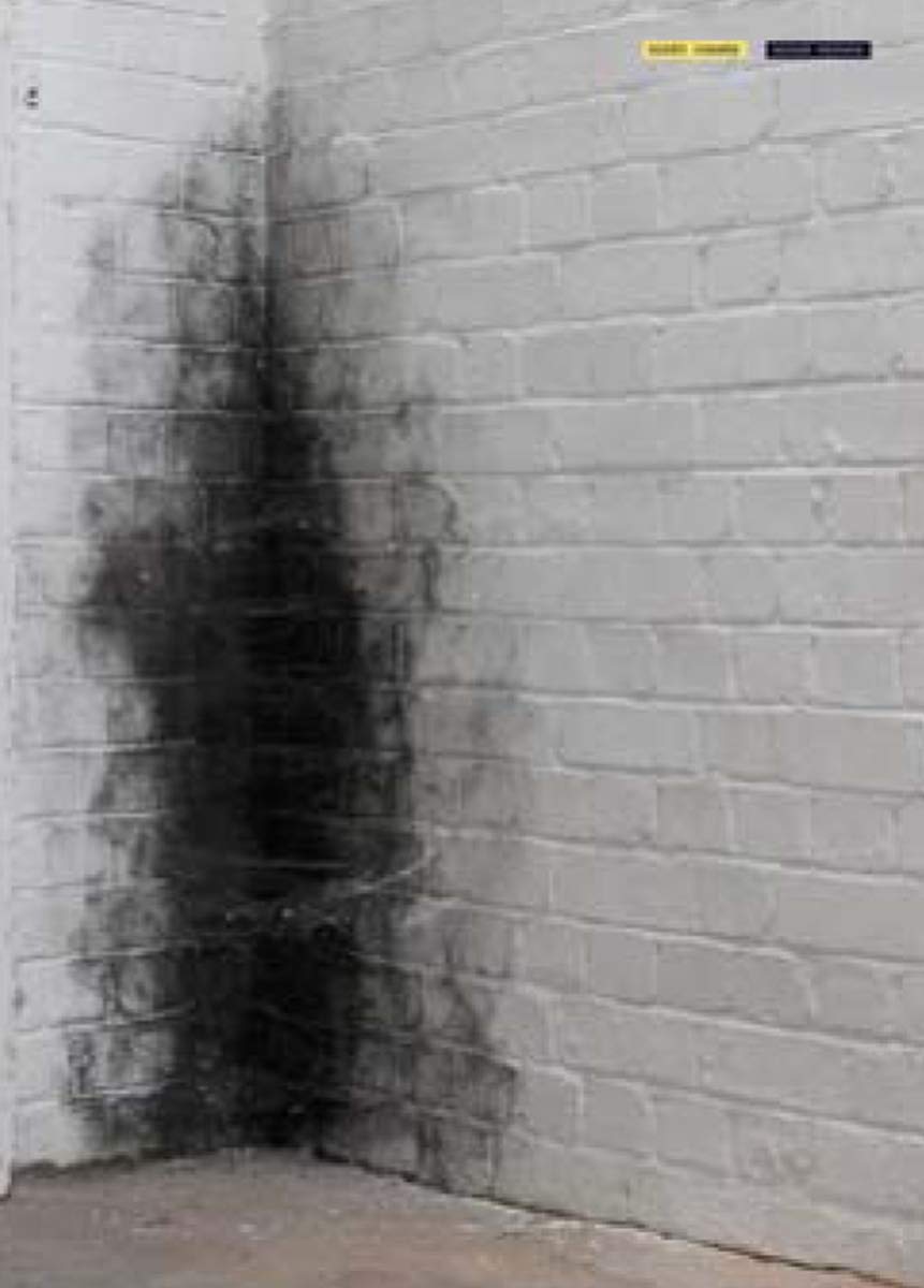 Anish Kapoor: Dirty Corner,Used