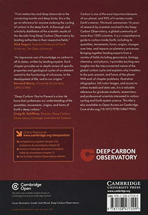 Deep Carbon: Past to Present,Used