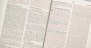 ESV Thinline Bible, Red Letter (Bonded Leather, Black),New