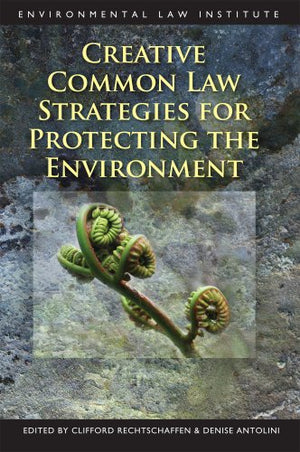 Creative Common Law Strategies for Protecting the Environment (Environmental Law Institute),Used