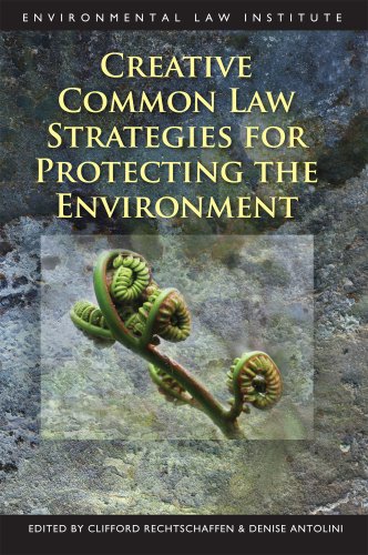 Creative Common Law Strategies for Protecting the Environment (Environmental Law Institute),Used