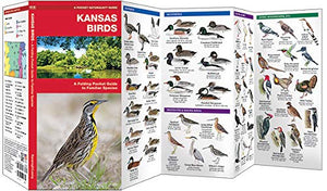 Kansas Birds: A Folding Pocket Guide to Familiar Species (Wildlife and Nature Identification),Used