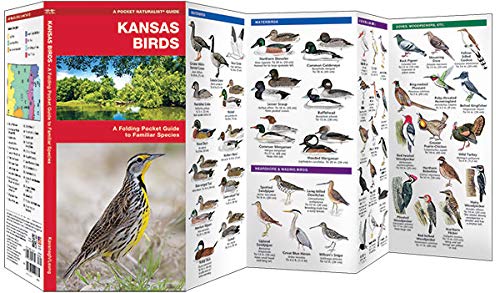 Kansas Birds: A Folding Pocket Guide to Familiar Species (Wildlife and Nature Identification),Used