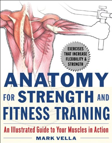 Anatomy For Strength And Fitness Training: An Illustrated Guide To Your Muscles In Action,New