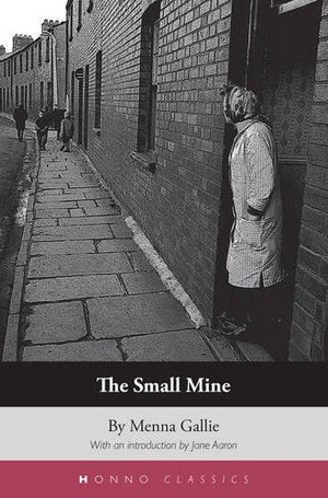 The Small Mine (Honno's Welsh Women's Classics),Used