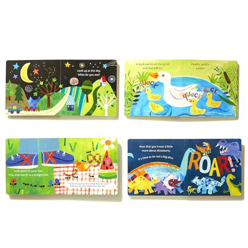Hello, World! Boxed Set: Solar System; Dinosaurs; Backyard Birds; Bugs,New
