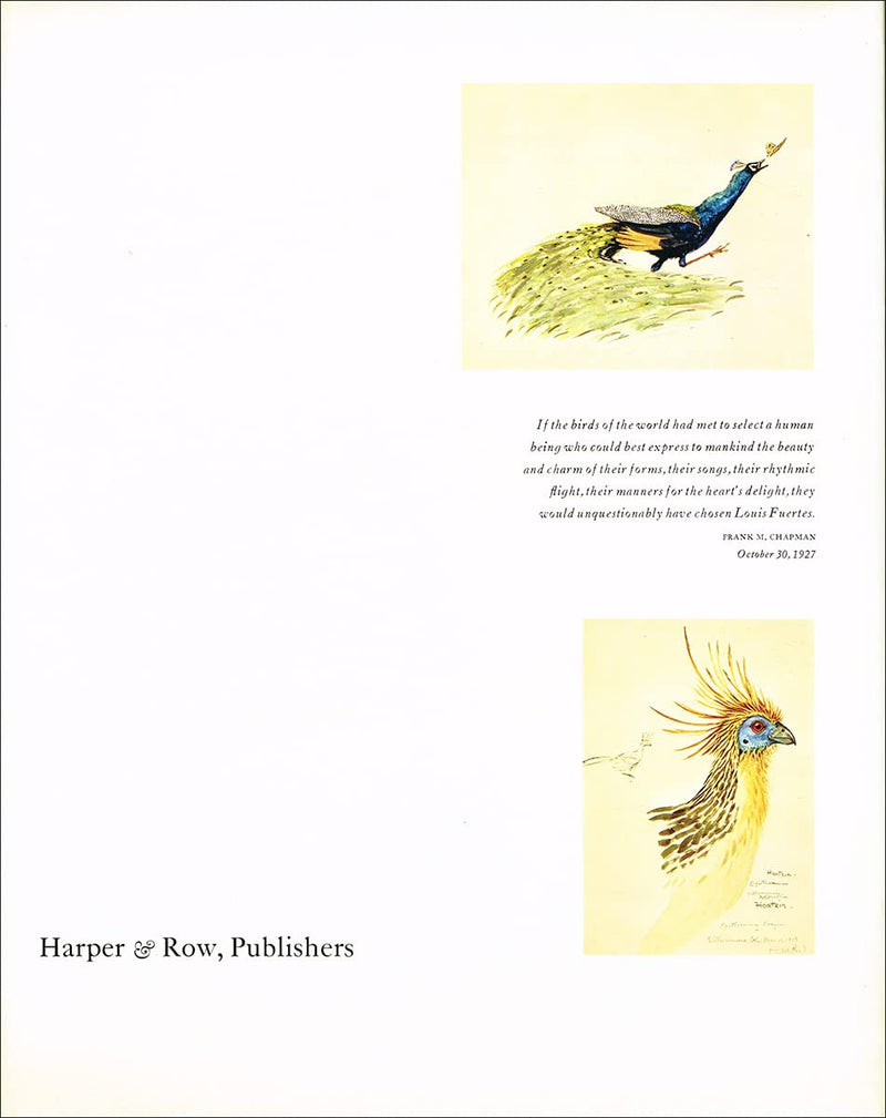 Louis Agassiz Fuertes & the singular beauty of birds: Paintings, drawings, letters,Used