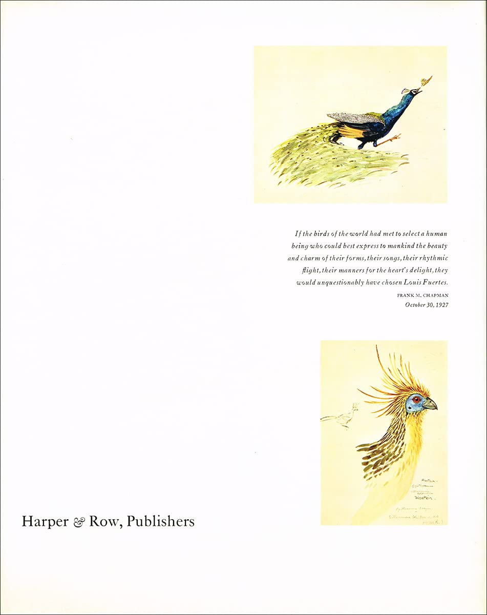 Louis Agassiz Fuertes & the singular beauty of birds: Paintings, drawings, letters,Used