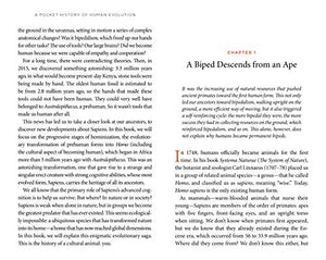 A Pocket History of Human Evolution: How We Became Sapiens,New