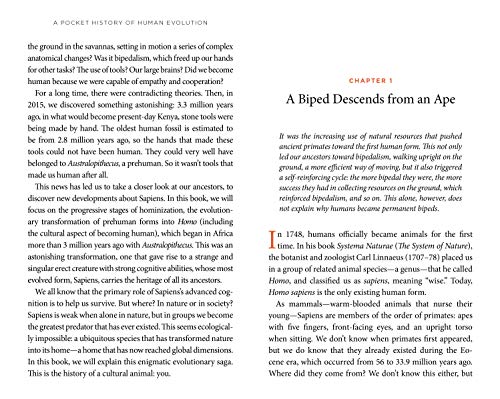 A Pocket History of Human Evolution: How We Became Sapiens,New