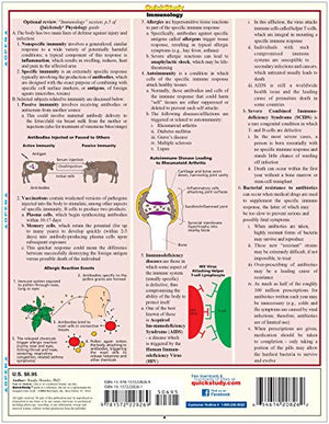 Biology 2 QuickStudy Laminated Reference Guide (QuickStudy Academic),New