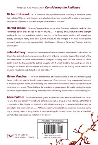 Considering the Radiance: Essays on the Poetry of A. R. Ammons,Used