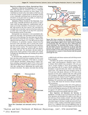 Guyton And Hall Textbook Of Medical Physiology, 12E