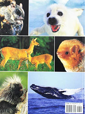 Mammals of the Northeast (Northeast Natyre),Used