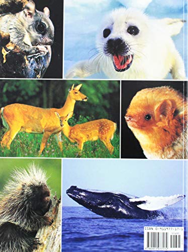 Mammals of the Northeast (Northeast Natyre),Used