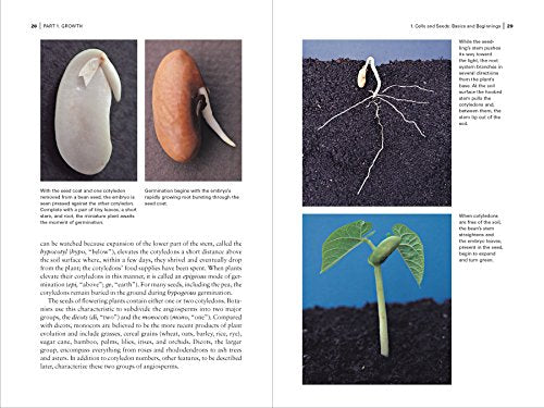 Botany For Gardeners, 3Rd Edition
