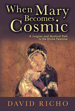When Mary Becomes Cosmic: A Jungian and Mystical Path to the Divine Feminine,Used