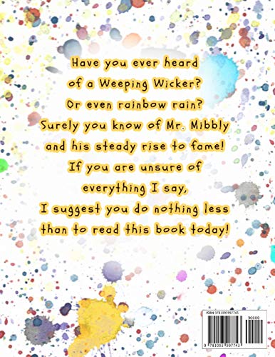 Rainbow Rain: & Other Ridiculous Rhymes (Teacher's Edition),Used