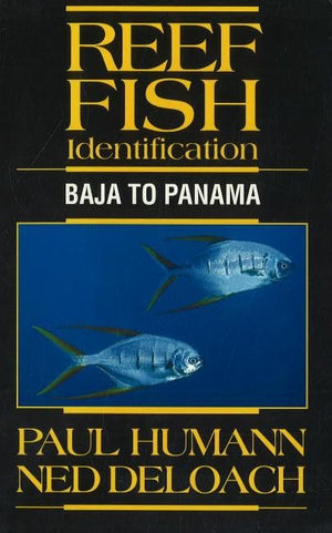 Reef Fish Identification: Baja To Panama