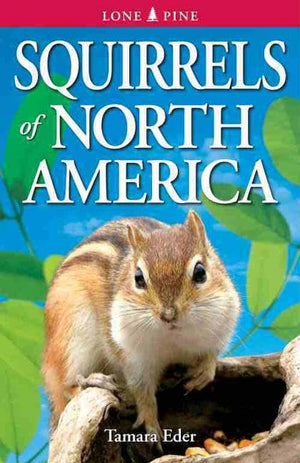Squirrels of North America,Used
