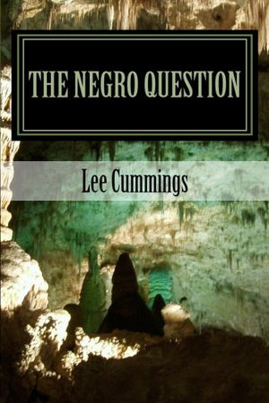 The Negro Question: Who Am I,Used