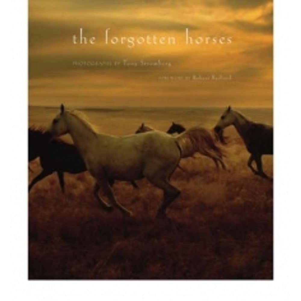 The Forgotten Horses,Used