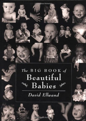 The Big Book of Beautiful Babies,Used