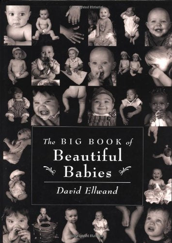 The Big Book of Beautiful Babies,Used