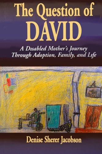 The Question Of David: A Disabled Mother'S Journey Through Adoption, Family And Life,Used