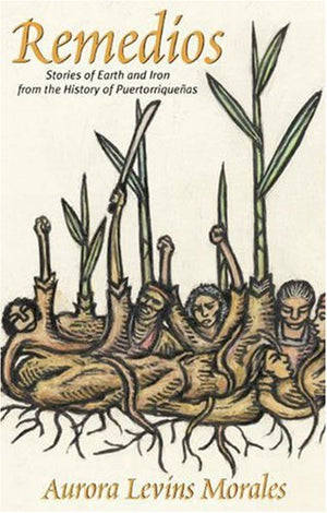Remedios: Stories of Earth and Iron from the History of Puertorriquenas,Used