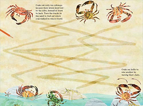 The Big Sticker Book of Blue (The Big Book Series),Used
