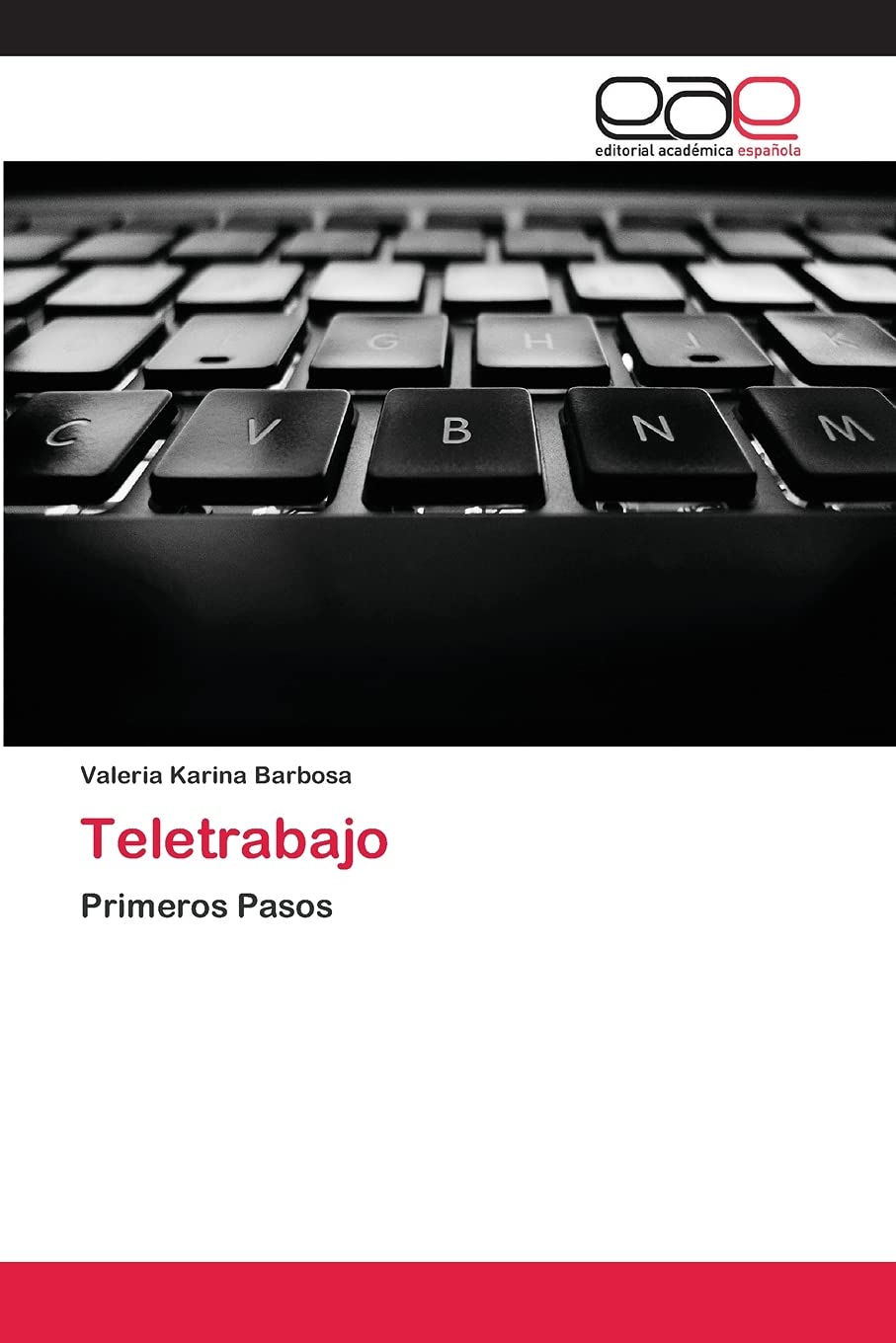Teletrabajo: Primeros Pasos (Spanish Edition),Used
