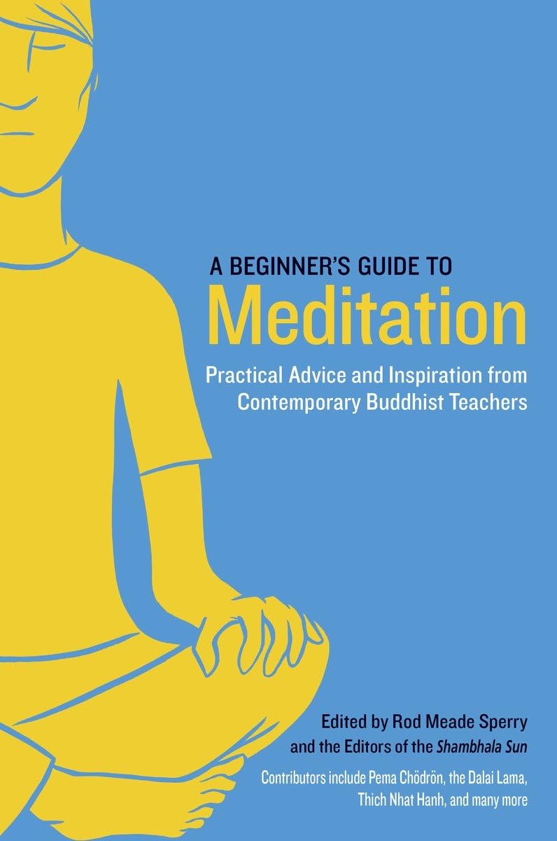 A Beginner's Guide to Meditation: Practical Advice and Inspiration from Contemporary Buddhist Teachers,Used