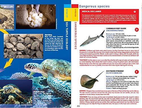 Reef Smart Guides Bonaire: Scuba Dive. Snorkel. Surf. (Best Netherlands' Bonaire Diving Spots, Scuba Diving Travel Guide),Used