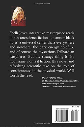 The Little Book Of Consciousness: Pribrams Holonomic Brain Theory And Bohms Implicate Order (The Little Book Series)-new