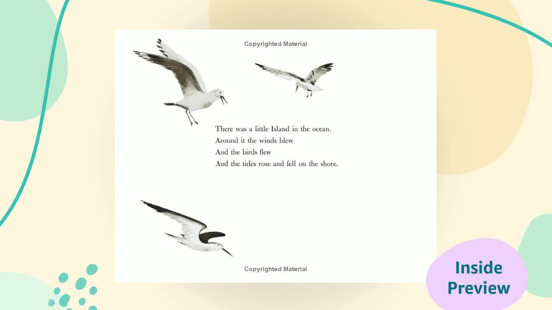 The Little Island: (Caldecott Medal Winner),New