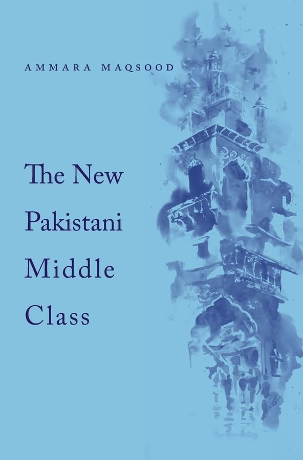 The New Pakistani Middle Class,Used