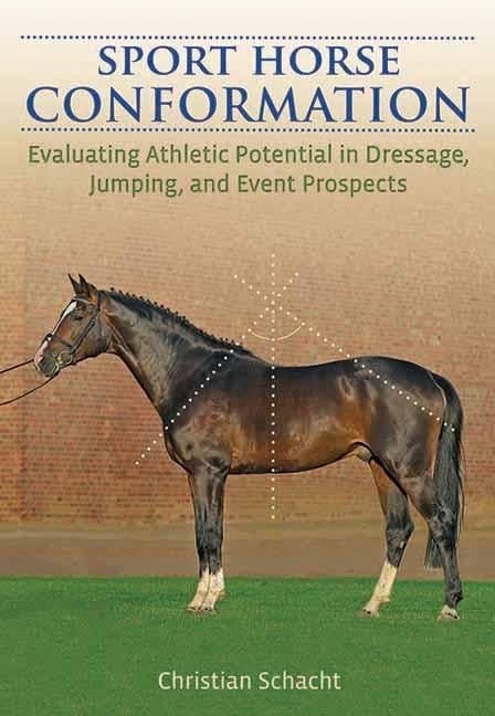 Sport Horse Conformation: Evaluating Athletic Potential in Dressage, Jumping and Event Prospects,Used