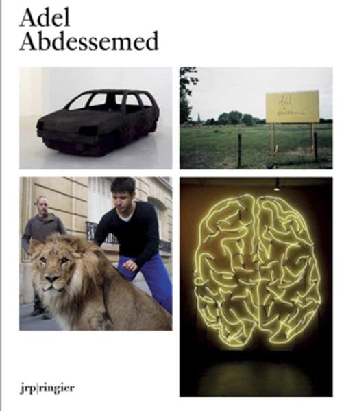 Adel Abdessemed,Used