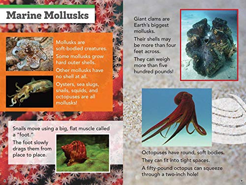 Smithsonian Readers: Amazing Animals Level 2,Used