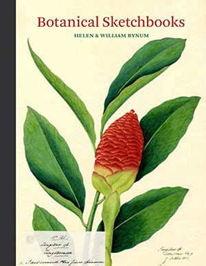 Botanical Sketchbooks: (Over 500 Years Of Beautiful Botanical Sketches By 80 Artists From Around The World, From Leonardo Da Vin