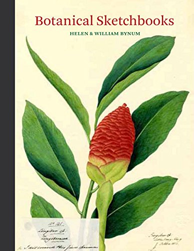 Botanical Sketchbooks: (Over 500 Years Of Beautiful Botanical Sketches By 80 Artists From Around The World, From Leonardo Da Vin