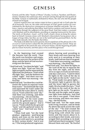 NIV, Holy Bible Military Edition, Paperback, Woodland Camo,Used