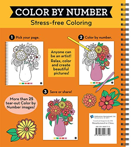 Brain Games  Color By Number: Stressfree Coloring (Orange)