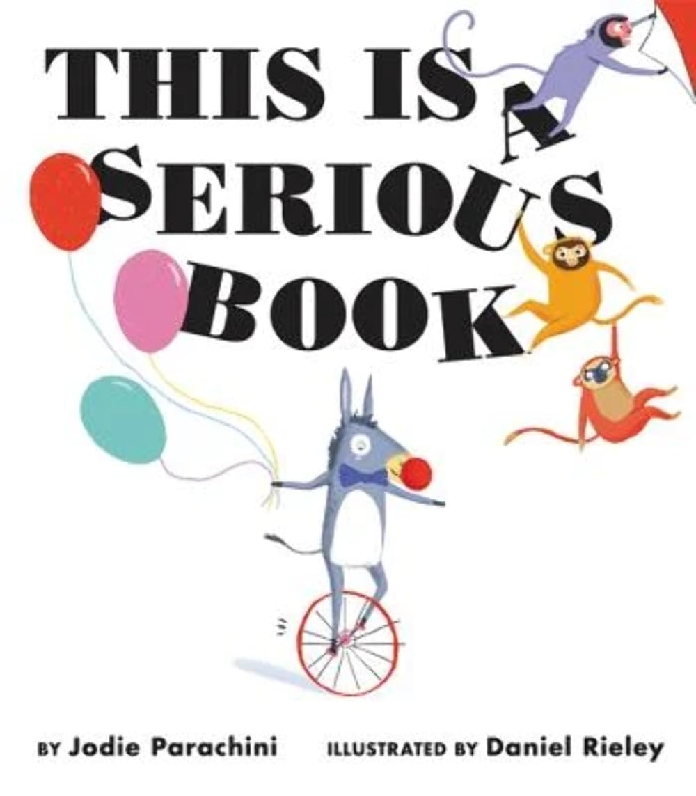 This Is a Serious Book,Used