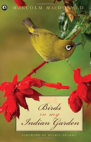Birds In My Indian Garden